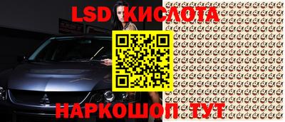 прущие крисы Тара
