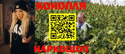 сатива Тверь