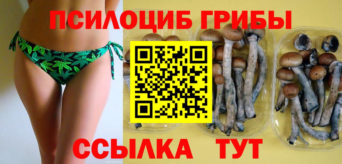 Псилоцибиновые грибы Cubensis  Вход с VPN  Старая Купавна 